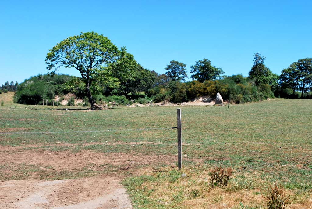 Castro de Fisteus